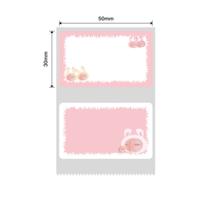 NB464 - NIIMBOT - B1 / B21 / B3S - T50*30 - 230 LABELS PER ROLL - PEACH DESIGN